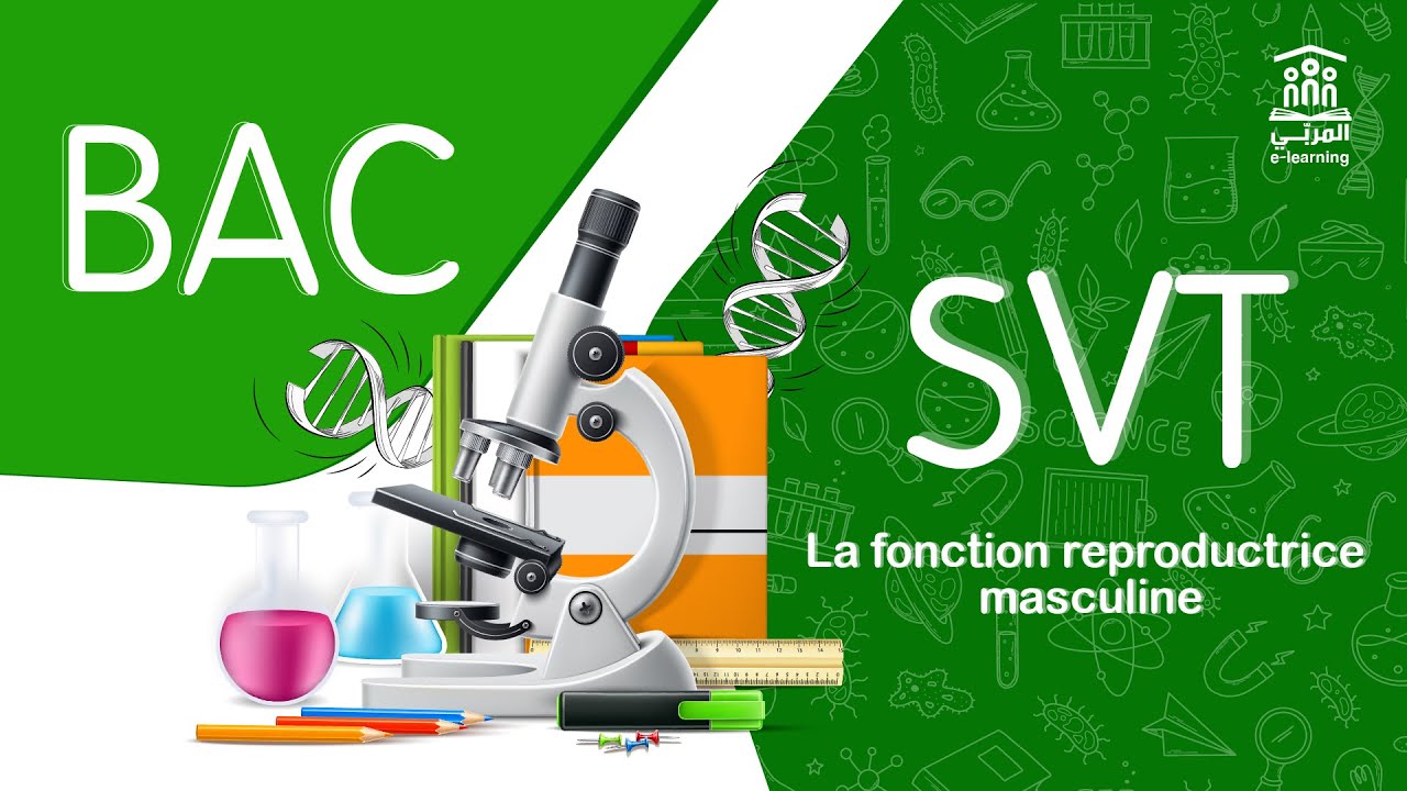 🔴 Live Bac Sciences SVT | La fonction reproductrice masculine