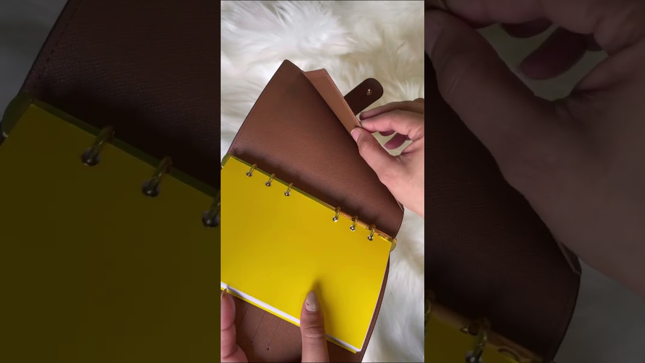 LV Medium Ring Agenda Cover Monogram 🤎