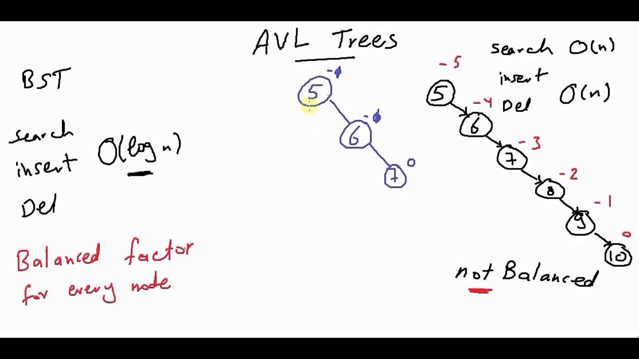 AVL Trees (1/3) [كود مصري]