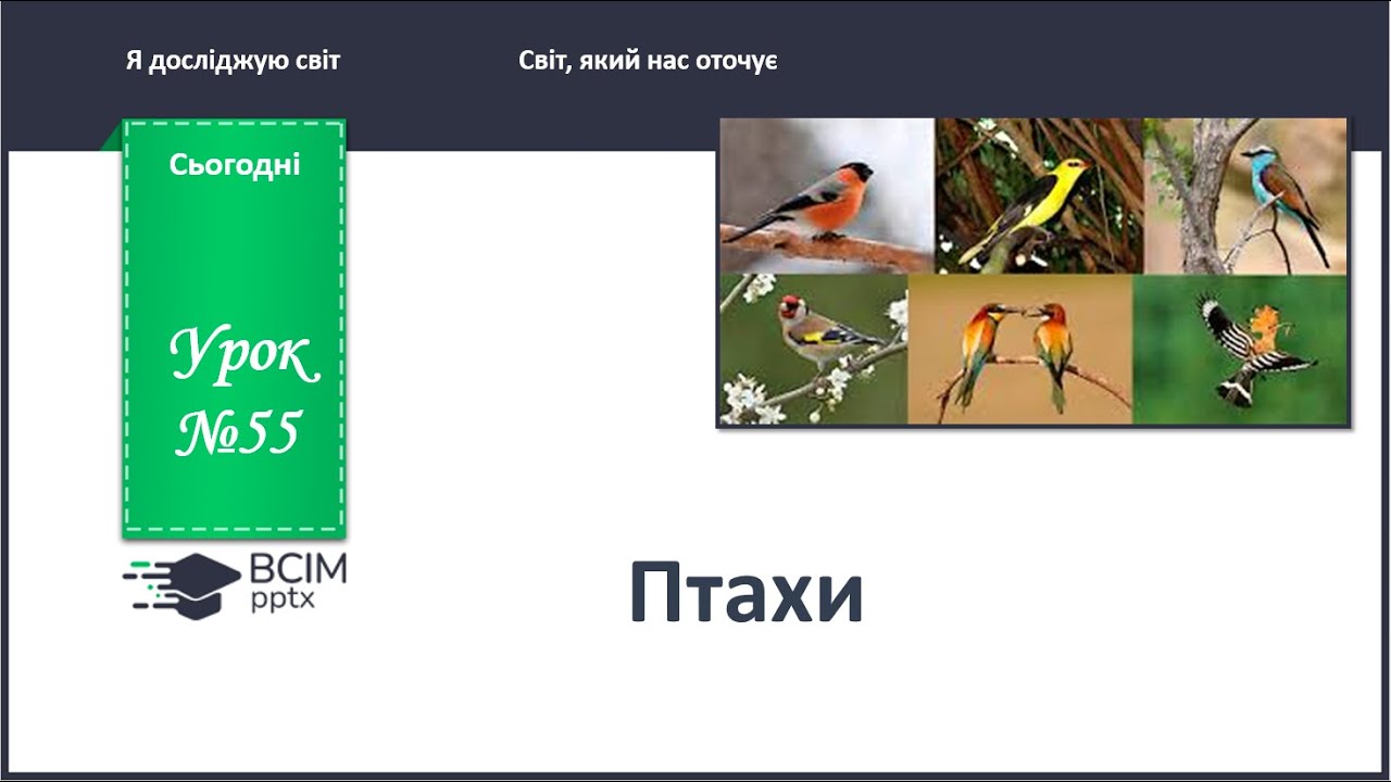 ЯДС 1 клас. Урок 55. Птахи.