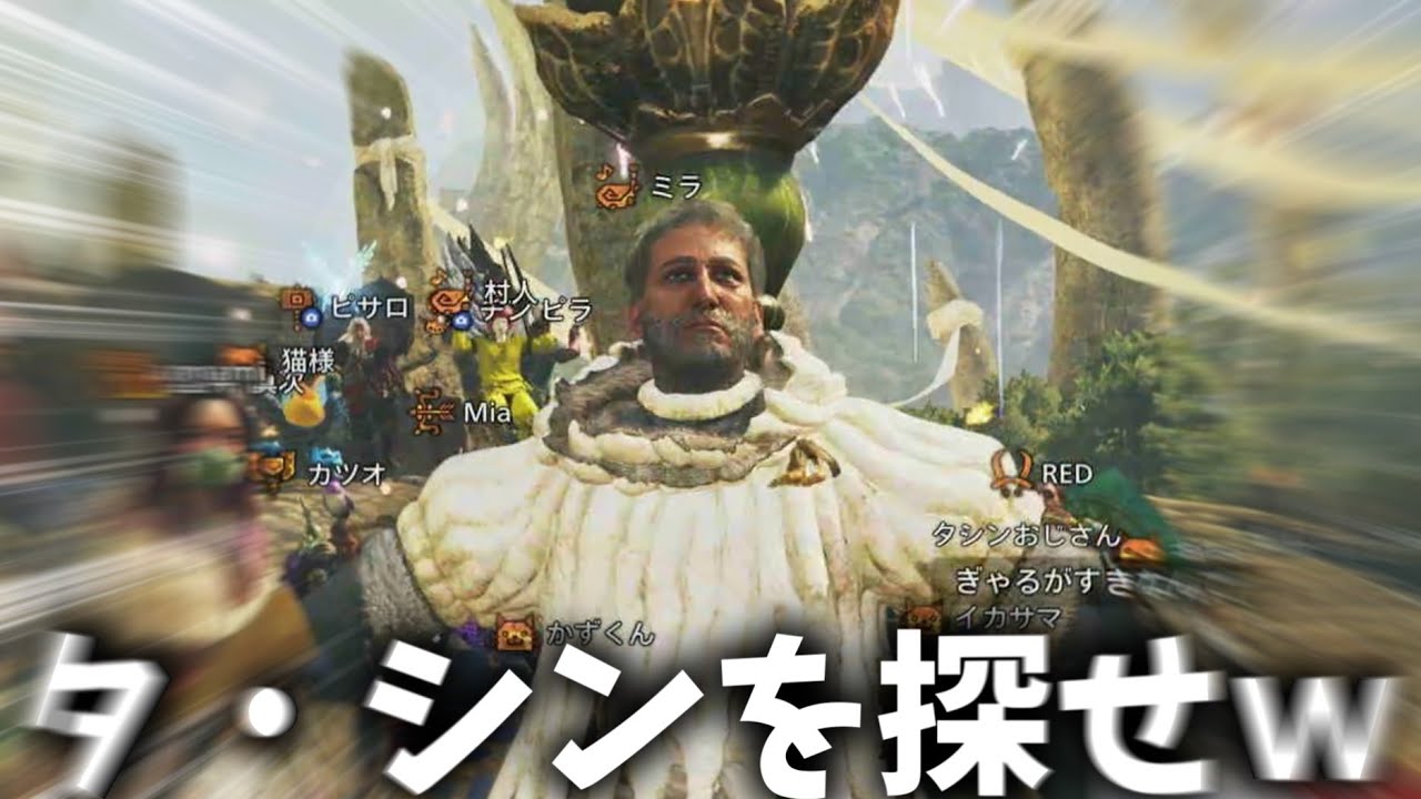 タ・シンを集めて狩りに行ってみた結果ｗｗｗ【モンハン】