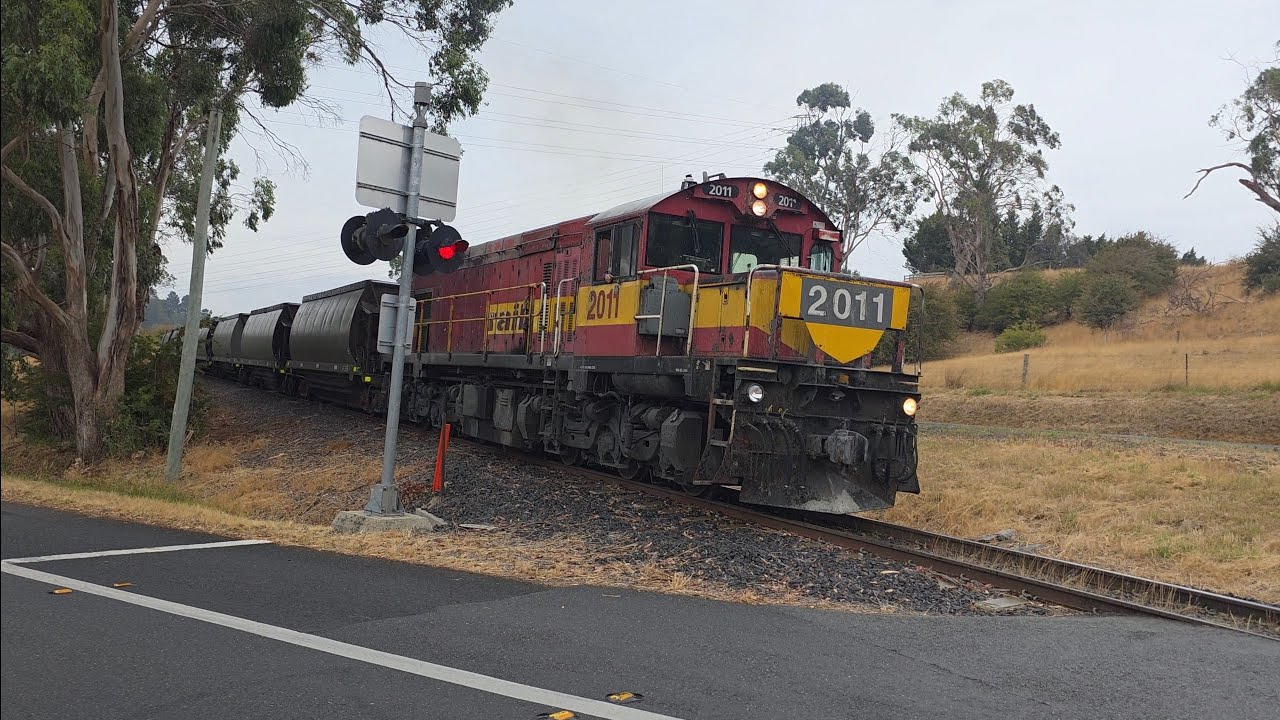 TasRail 2011 #55 train crossing Opossum Road