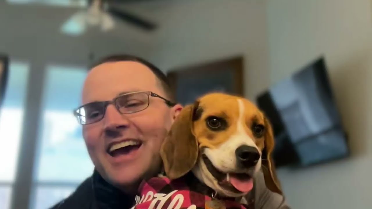 Gracie… A Beagle