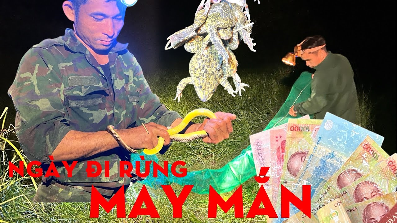 MỚI VÀO RỪNG ĐÃ GẶP MAY-TỰ THỢ RỪNG