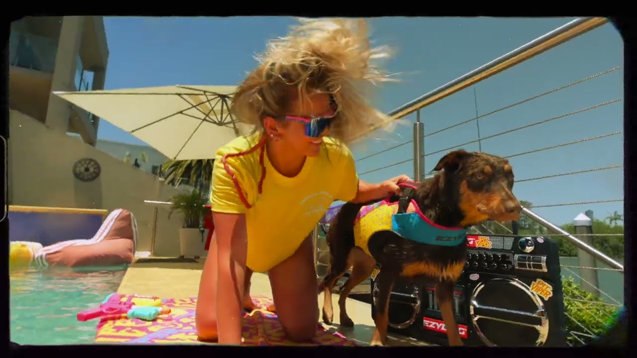 PITVIPER X EZYDOG - BRACE YOURSELF!