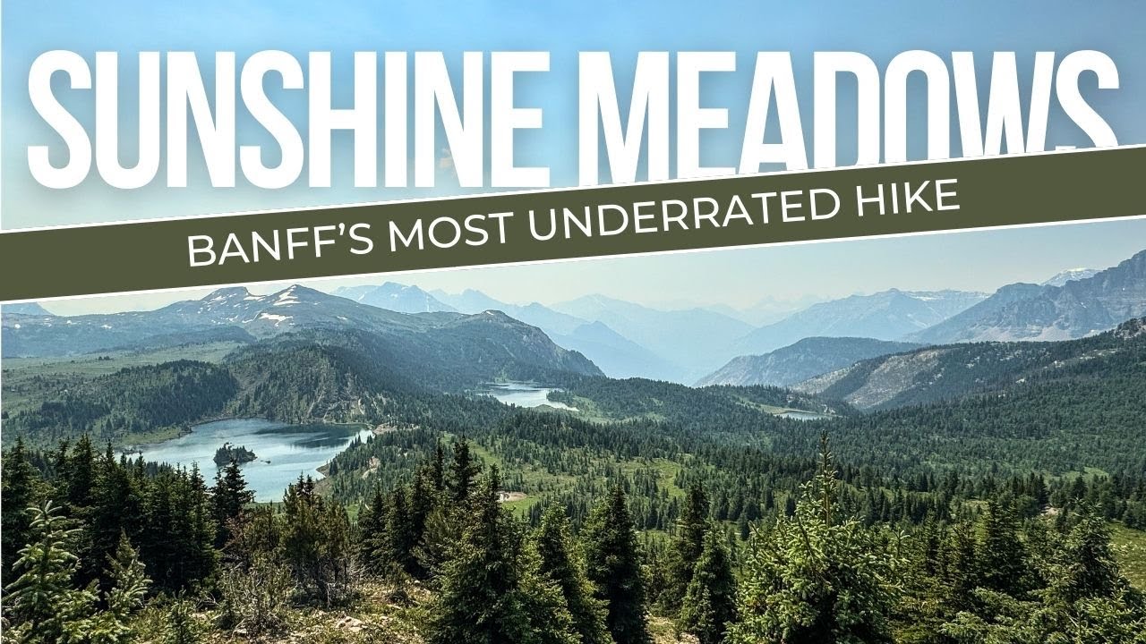 Uncover Banff's Hidden Gem: Sunshine Meadows In Stunning 4k