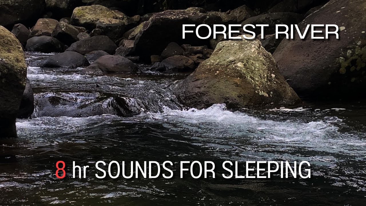 Forest River - Stream Sounds for Sleeping - No Birds - Relaxing Nature Video - Water Flowing 8 Hour