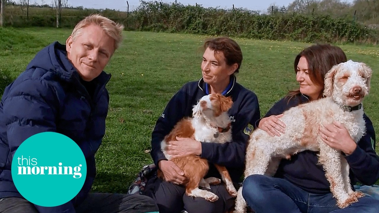 RSPCA Rescue 250 Dogs From One Property! | This Morning