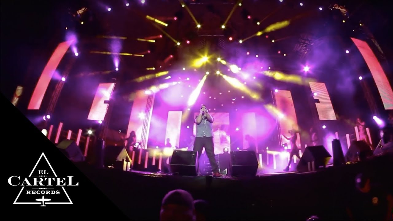 Daddy Yankee - Guatemala 2013 (Live)
