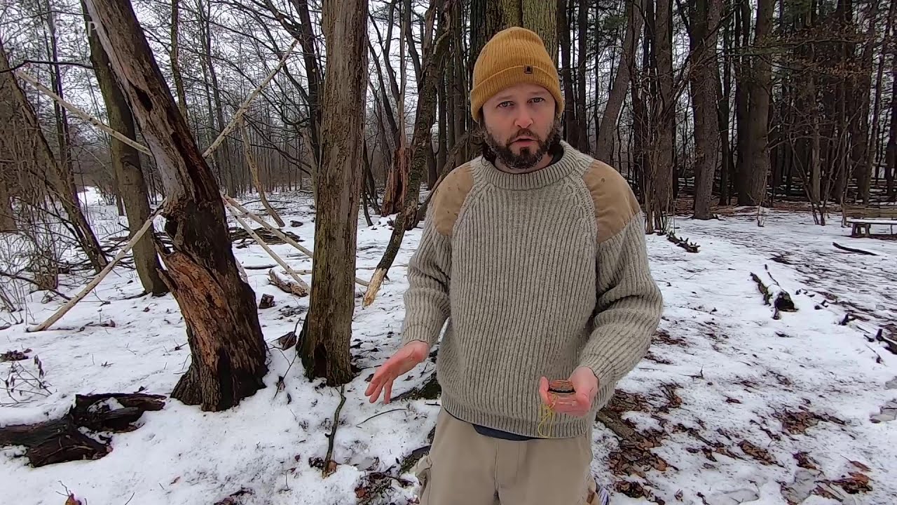 Does moss really only grow on the North side of a tree?