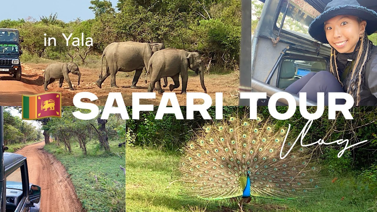 【アジア周遊1人旅】#17 スリランカvlog4🇱🇰 | ヤラでのサファリツアー🐆🐘🦚 | ソアリンの匂い🍃| 人生初の国立公園✨