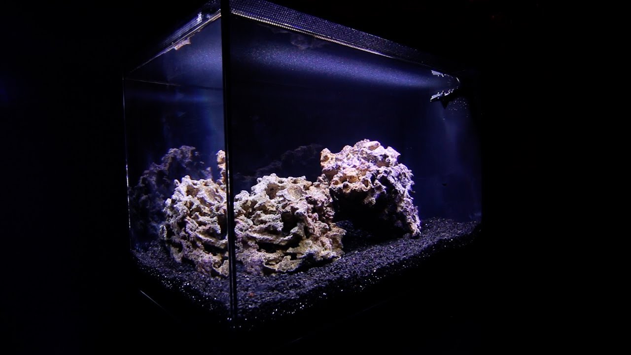 Распаковка и настройка Fluval EVO 13.5