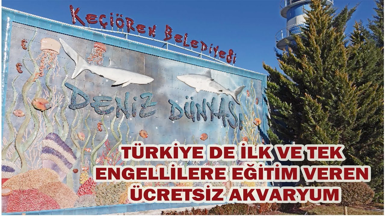 Deniz Dünyası / Dev Akvaryum / 4K izleyin / sea ​​world aquarium / Keçiören / Detaylı Gezi