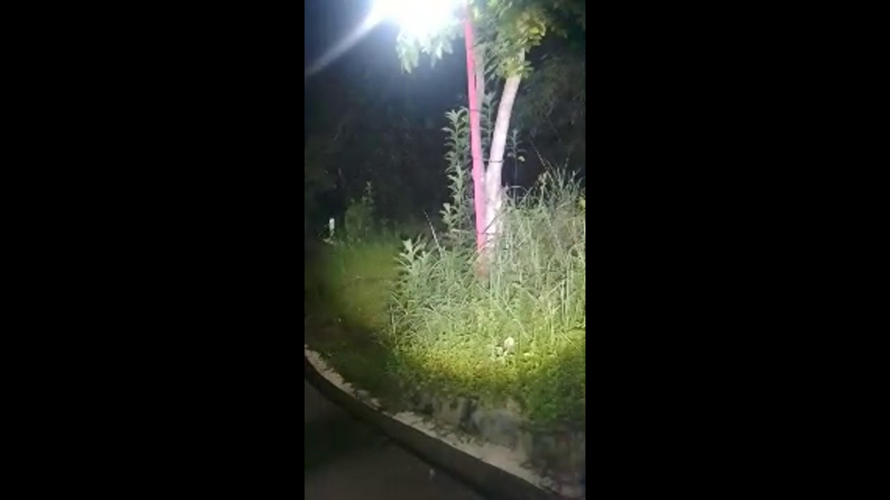 hantu gabut