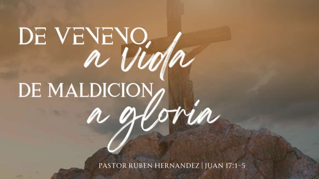 De veneno a vida y de Maldición a Gloria | 11.23.2025