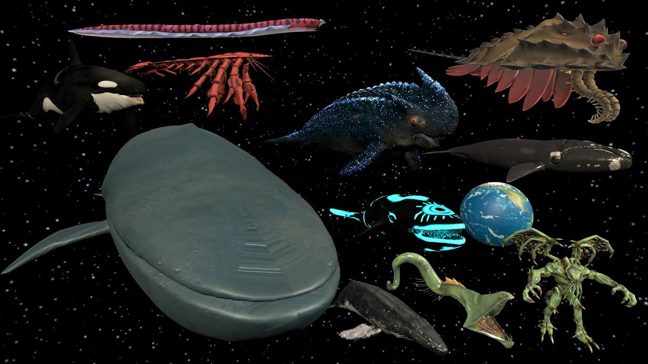SPACE Whale & Space Blue Whale Vs 3D Legendary Sea Monster Size Comparison