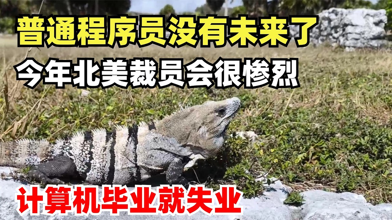 普通程序员没有未来了，程序员们纷纷用AI断自己财路，今年北美裁员会很惨烈，现在念计算机毕业就失业