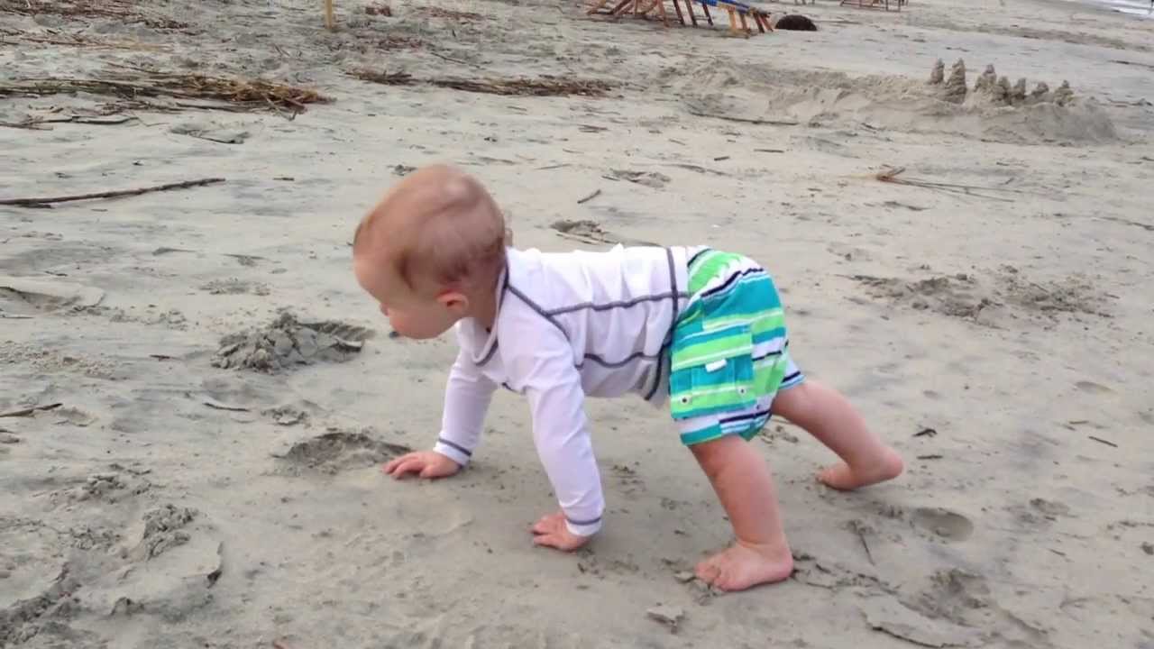 Baby Bear Crawl