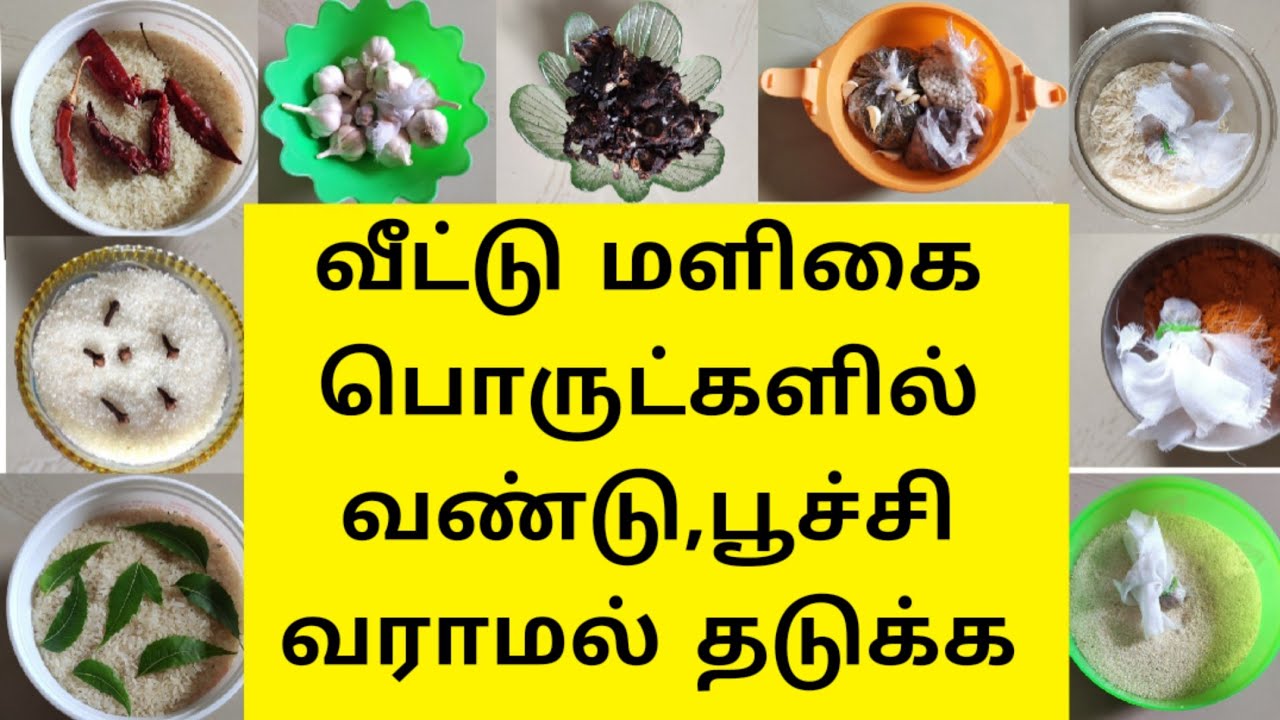 வீட்டு மளிகை பொருட்களில் வண்டு,பூச்சி வராமல் தடுக்க | Vandu varamal thaduppathu eppadi | kitchentips