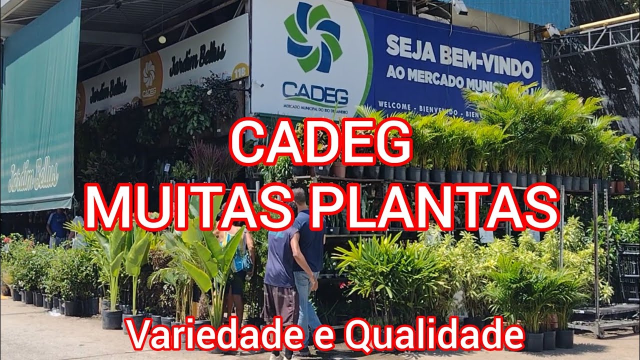 CADEG - O MAIOR DISTRIBUIDOR DE PLANTAS NO RIO!#viral #plantas #viralyoutubevideo#flores#casa #fypシ 