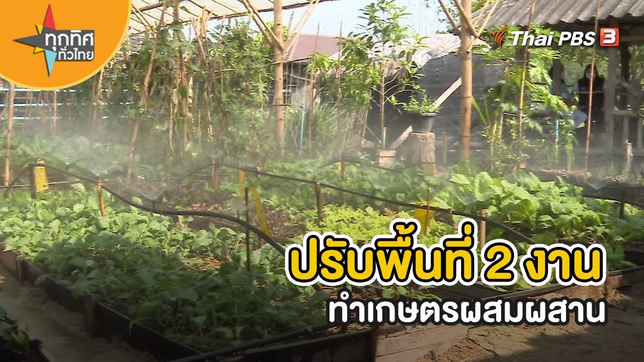 ปรับพื้นที่ 2 งานทำเกษตรผสมผสาน | อาชีพทั่วไทย | ทุกทิศทั่วไทย