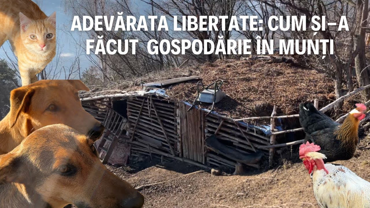 Viața departe de lume – Vizită la o gospodărie ascunsă în Munții Apuseni