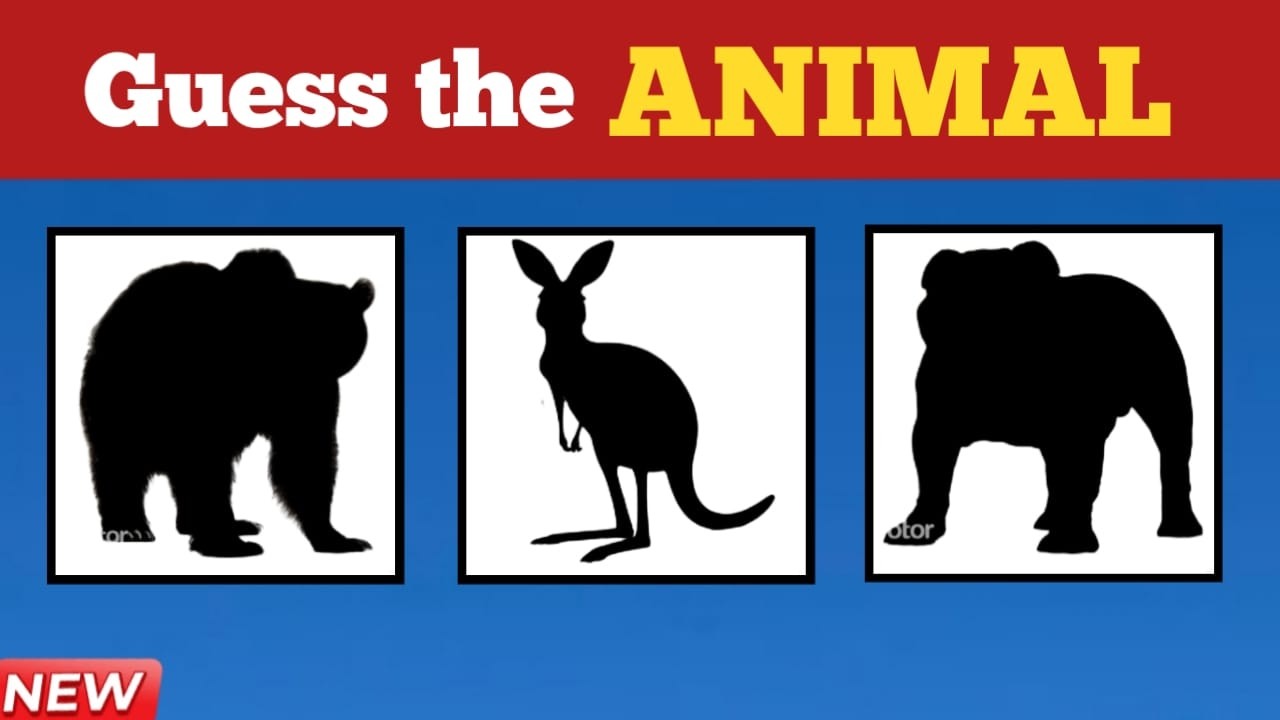 Guess the animals by their shadow?|game challenge|riddle Game