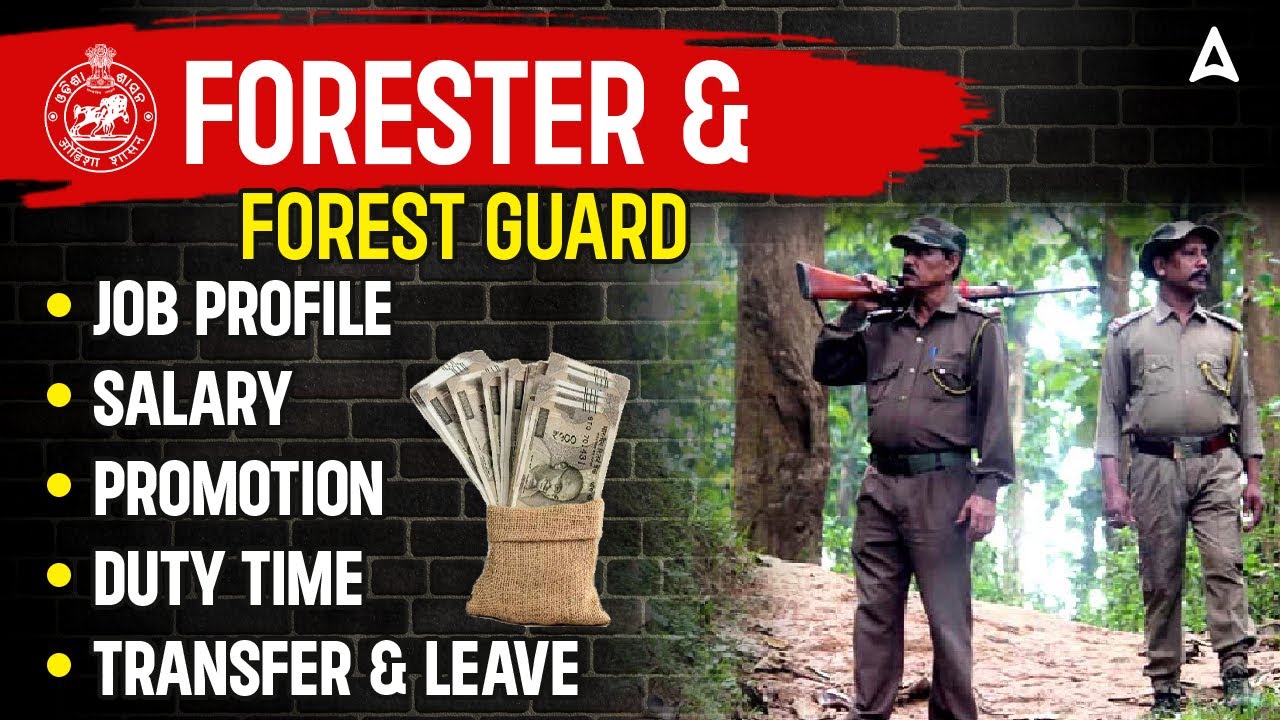 Forester, Forest Guard Recruitment 2026 l Job Profile, Salary,Promotion, Duty time, transfer & Leave
