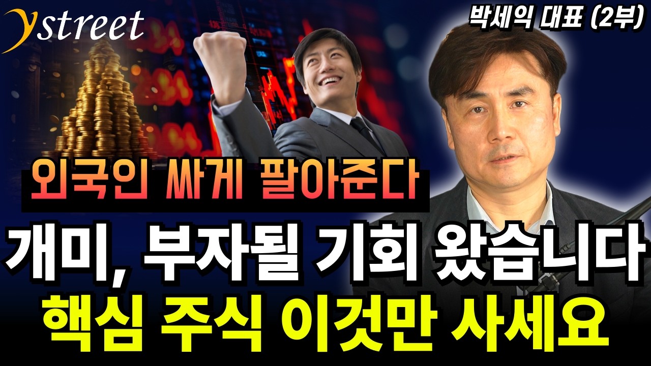개미, 부자될 기회 왔습니다. 핵심 주식 이것만 사세요 / 박세익 대표 (2부)