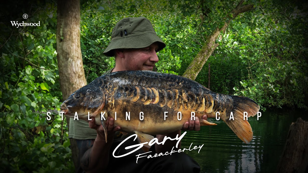 STALKING FOR CARP