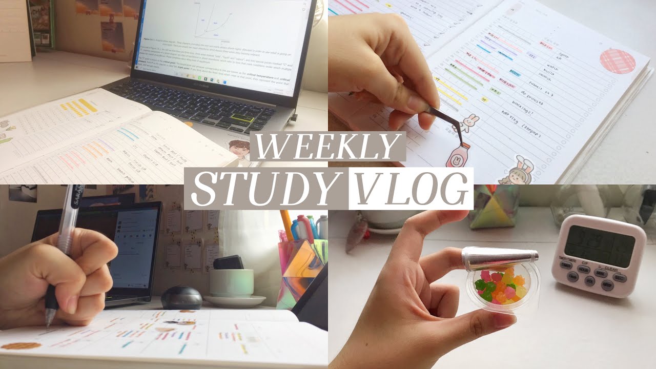 weekly study vlog: a typical week in online classes 🍡