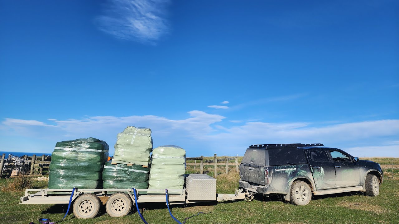 KT012 Kauri Trees Forest | Nurse Tree Planting Part 1: Crew Introduction | August 2023