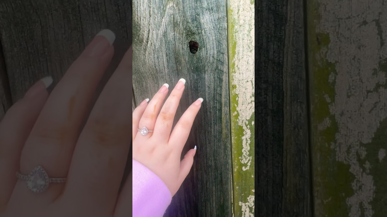 ASMR • wood triggers 🪵 (tapping, scratching) outside 