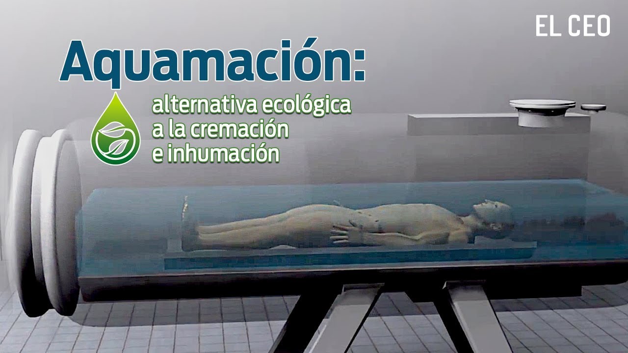 Aquamaci&oacute;n: alternativa ecol&oacute;gica a la cremaci&oacute;n e inhumaci&oacute;n #tecnolog&iacute;a #Negocios #viral #noticias