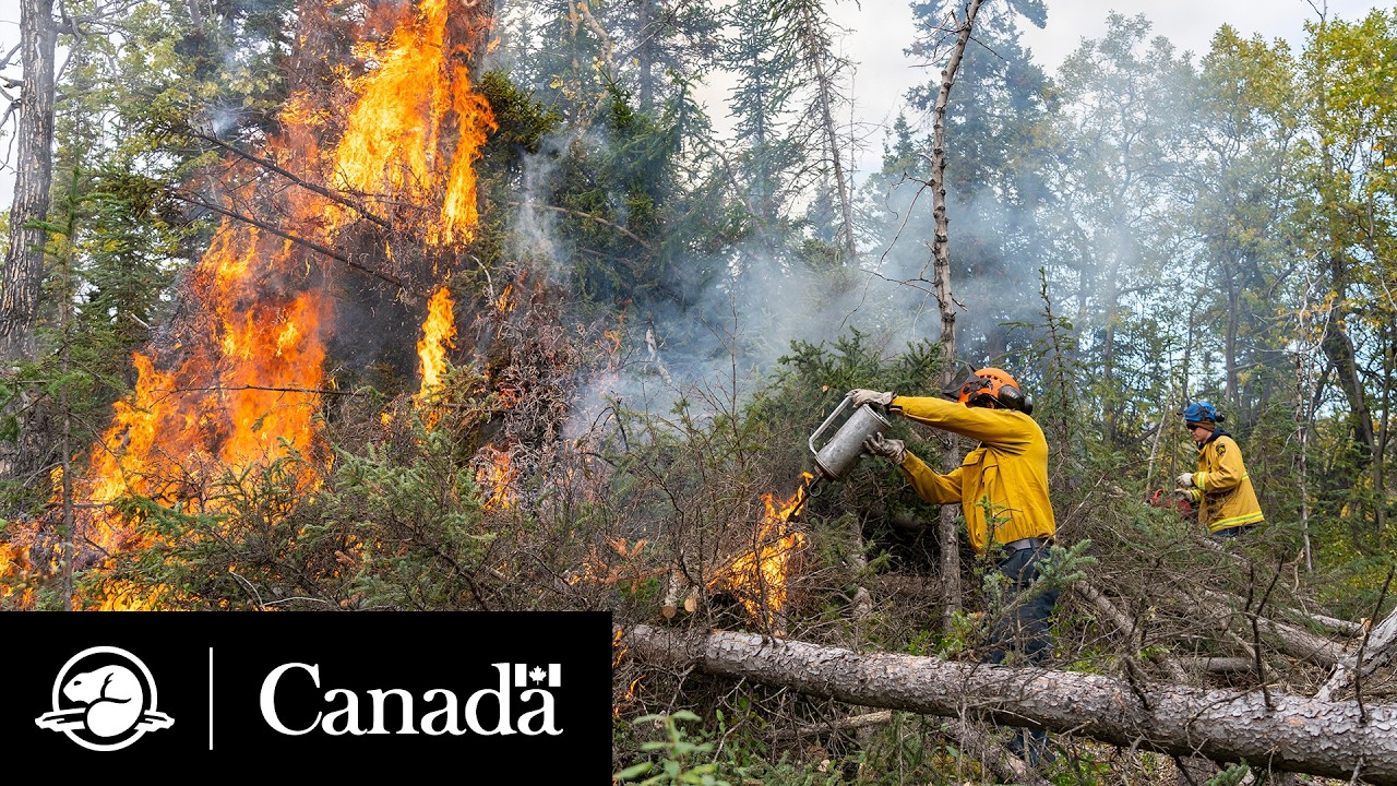 Restoring Fire in Kluane National Park and Reserve | Parks Canada
