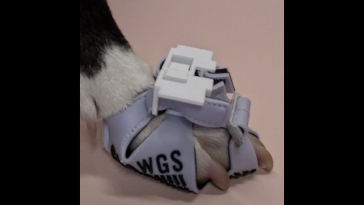 Clawgs V2 - How to mark and trim excess sole under side claws.