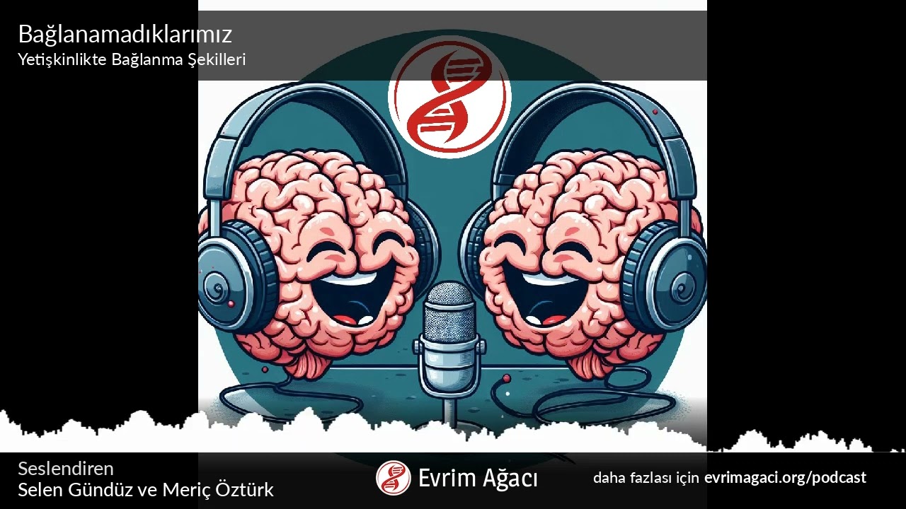 Bağlanamadıklarımız