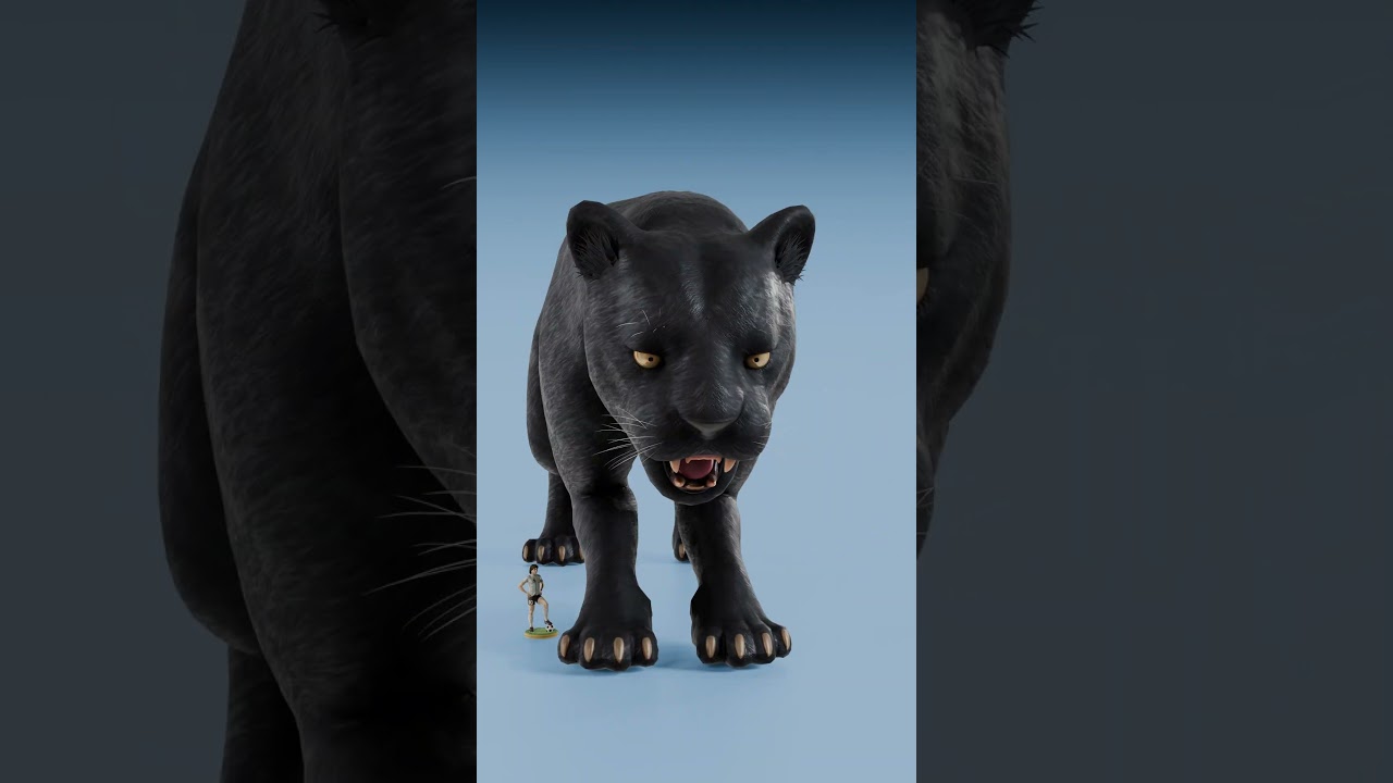 Домашний кот против льва