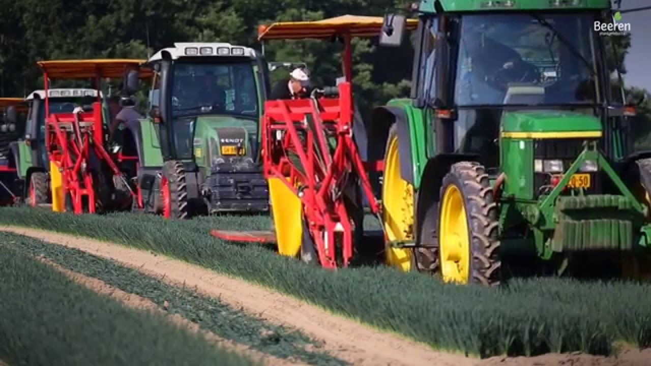 Beeren Plantproducts - Bedrijfsfilm NEDERLANDS