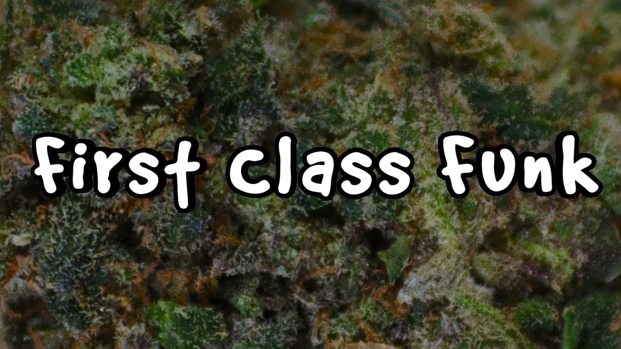 FIRST CLASS FUNK OFFICIAL STRAIN REVIEW