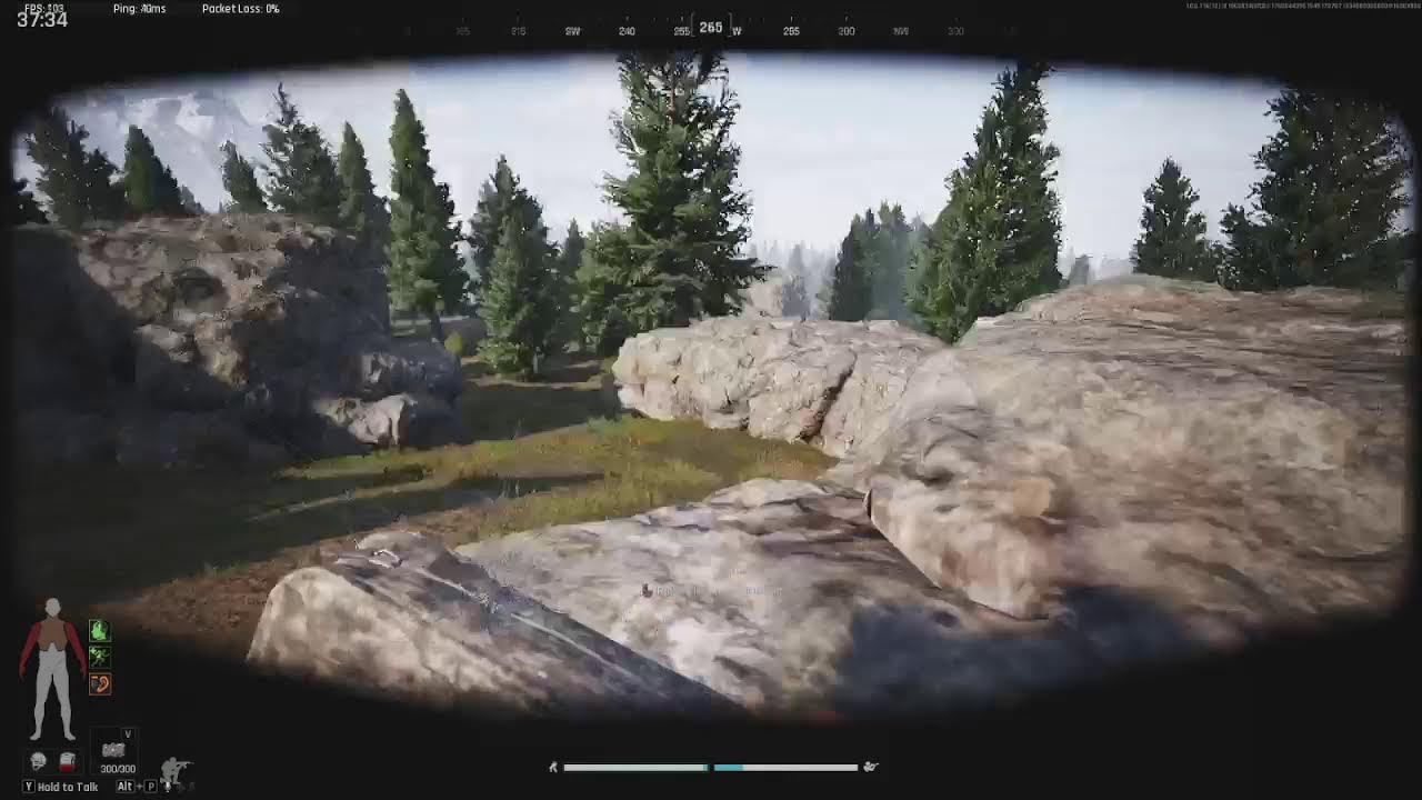 DMZ cheaters cant touch me here