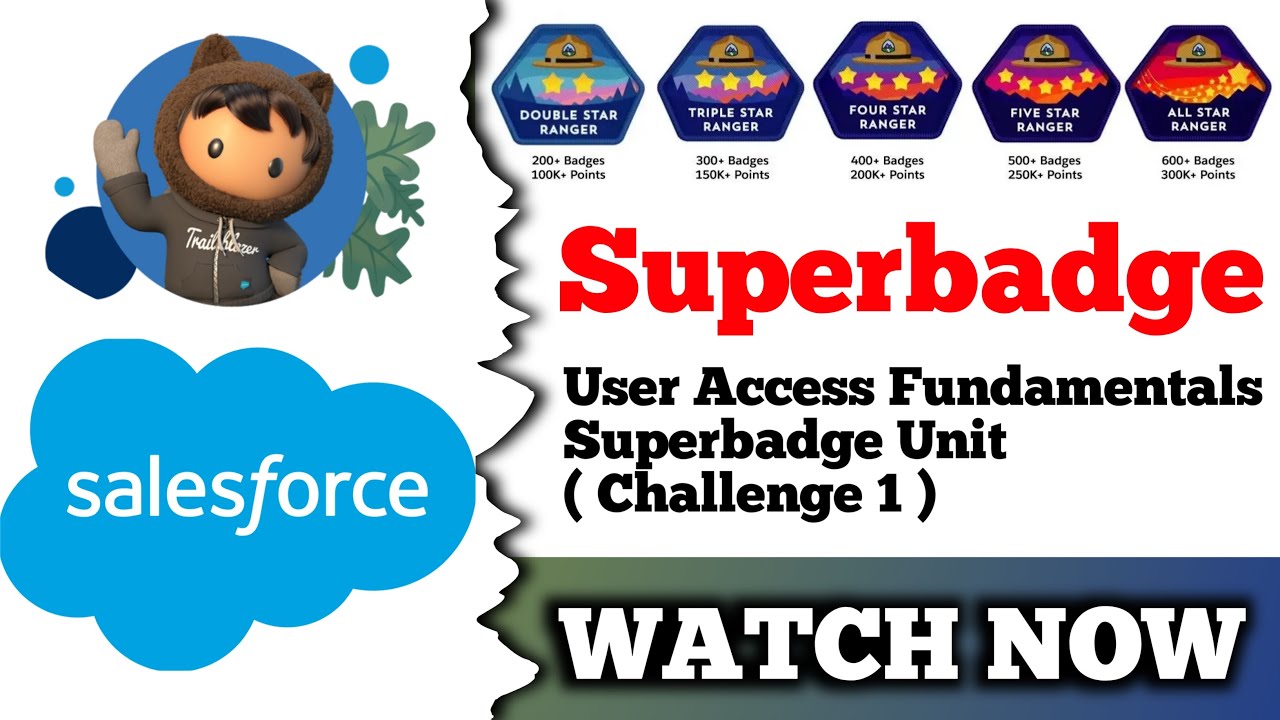 User Access Fundamentals Superbadge Unit | Salesforce Trailhead | Challenge 1
