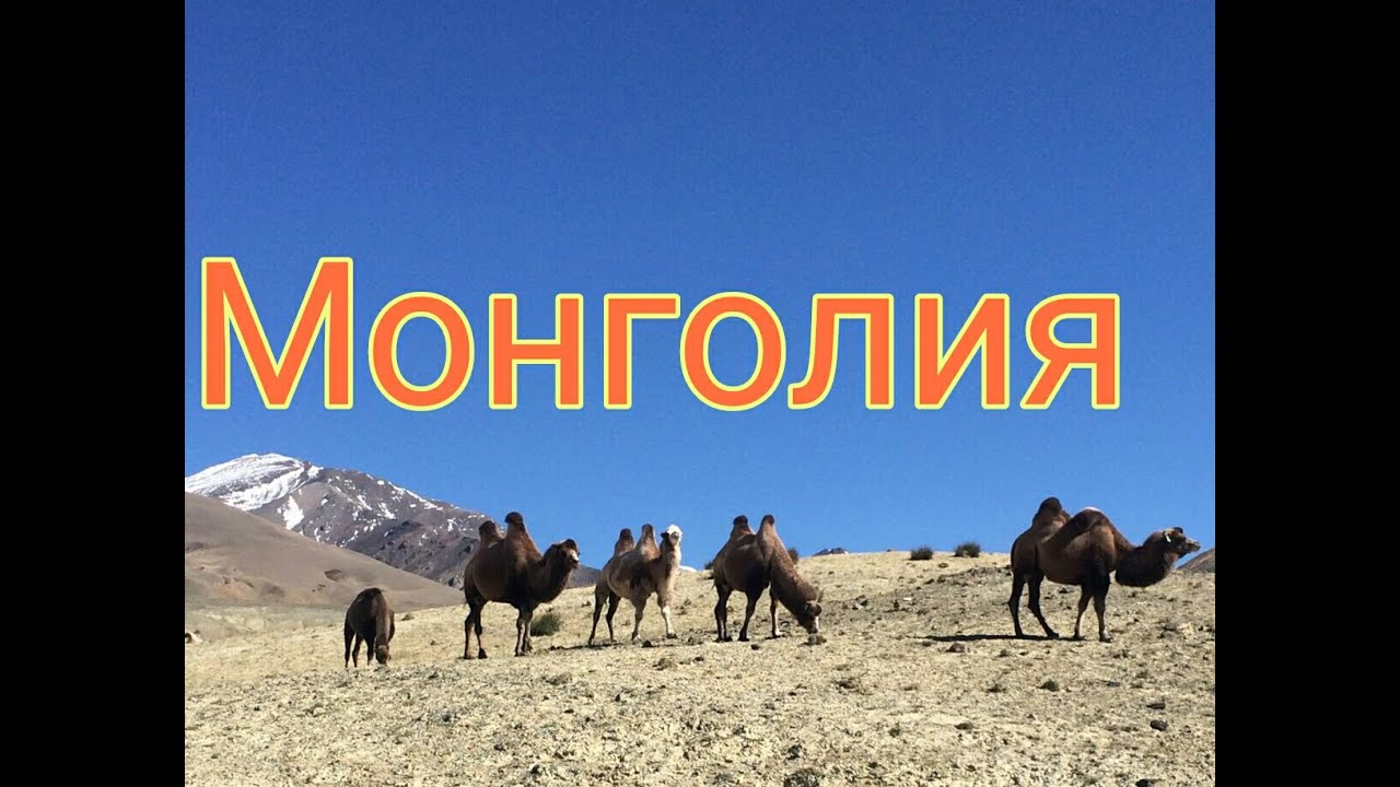 В Монголию 🐂🐫на машине через Горный Алтай. #монголия#автопутешествие
