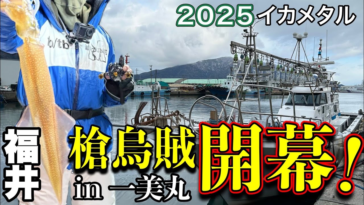 [イカメタル]2025ヤリイカ開幕！・福井