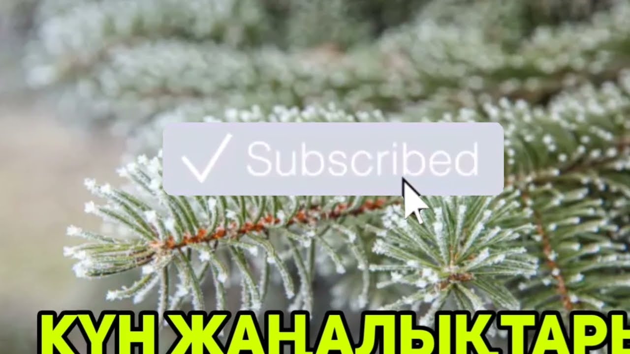 АСТАНАДА ЕШКІМ КҮТПЕГЕН ҚАЙҒЫЛЫ ОҚИҒА БОЛДЫ.ШЫНДЫҚТЫ АЙТАМЫЗ.12 областa  ескерту жарияланды