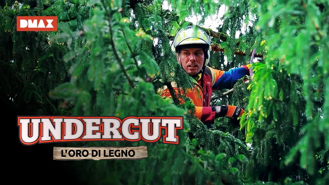 Moreno del Team Giacomelli rimane incastrato con un braccio...😱 | Undercut: l'oro di Legno