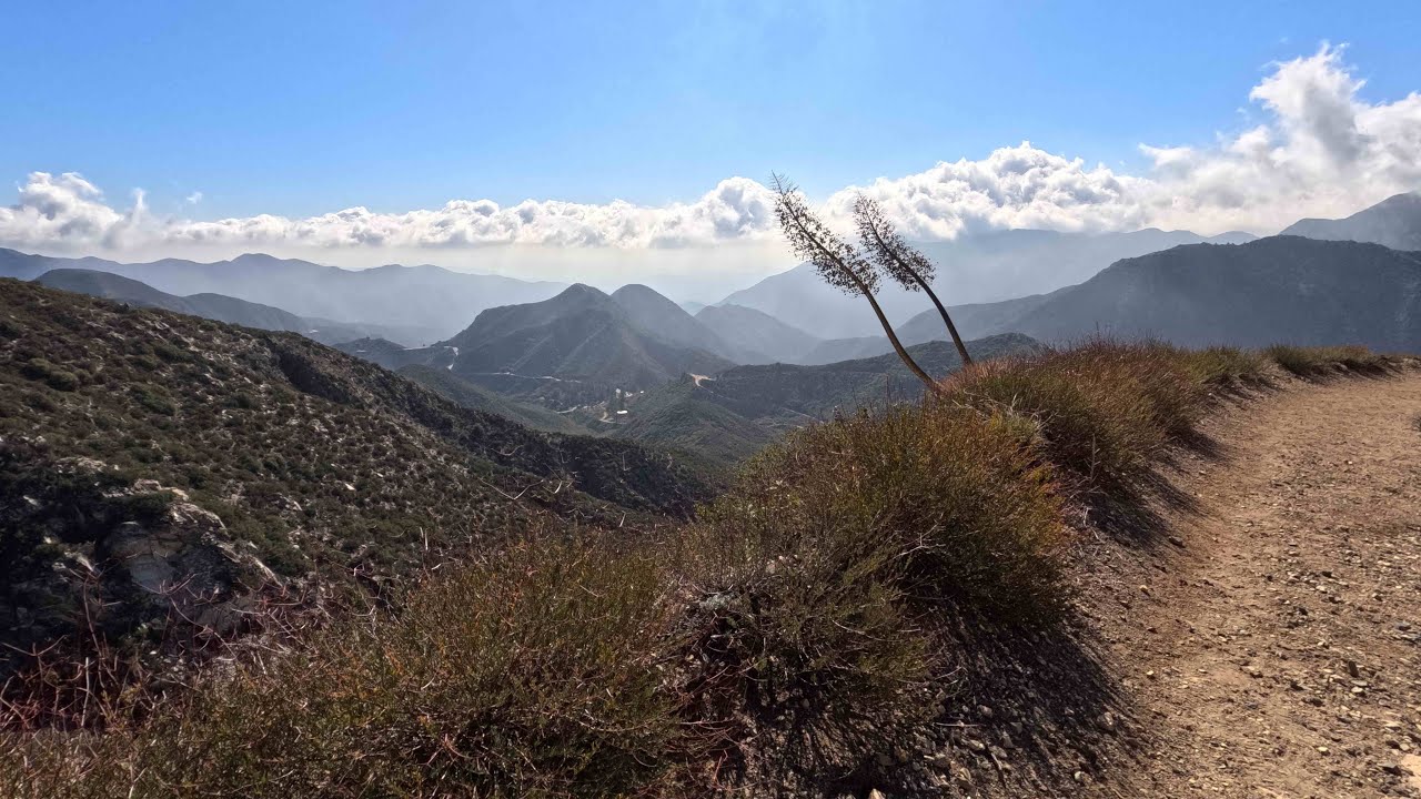 Hiking Club of Southbay (남가주 산악인) -Monrovia City Park Trail -01-31-2026
