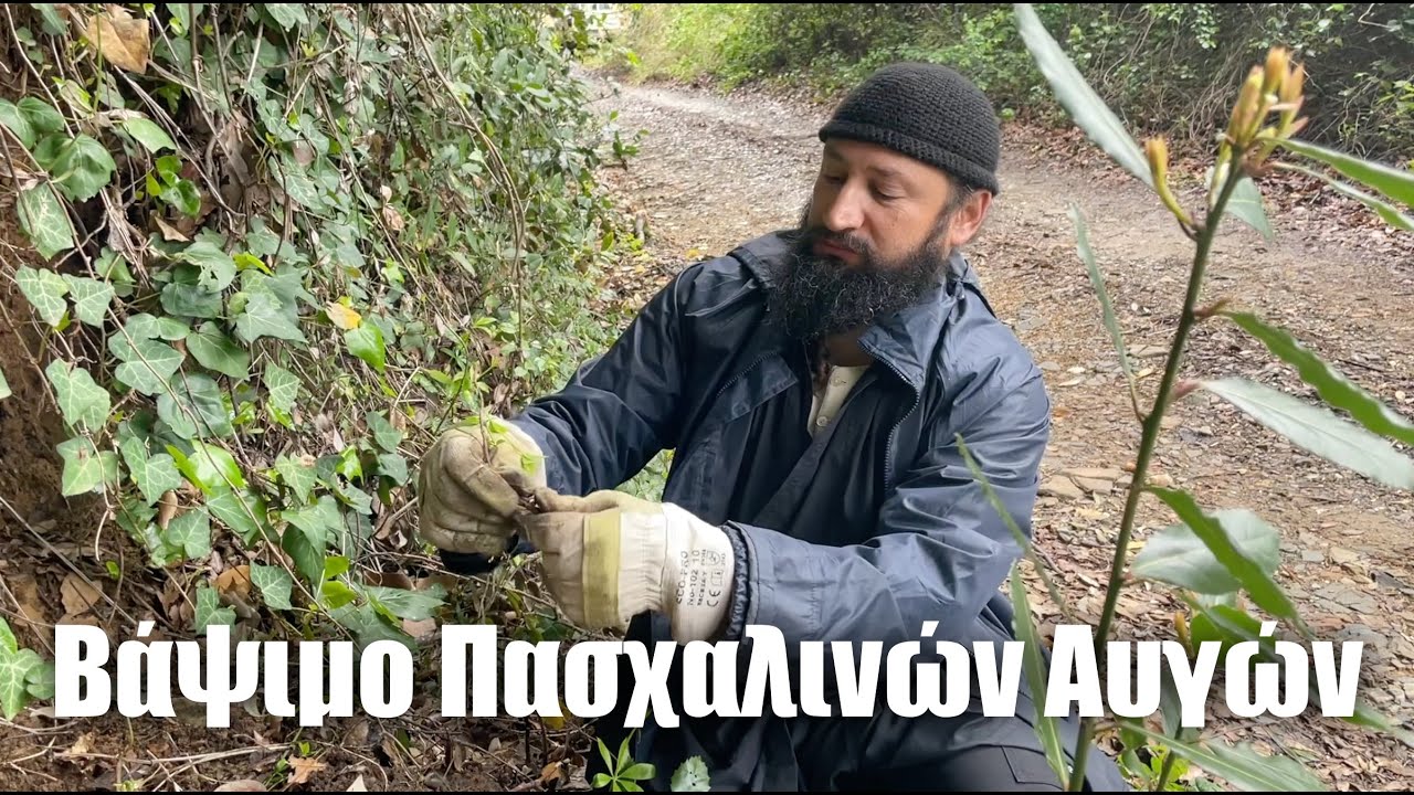 Παραδοσιακό Βάψιμο Πασχαλινών Αυγών από τον Αγιορείτη μοναχό Νικήτα