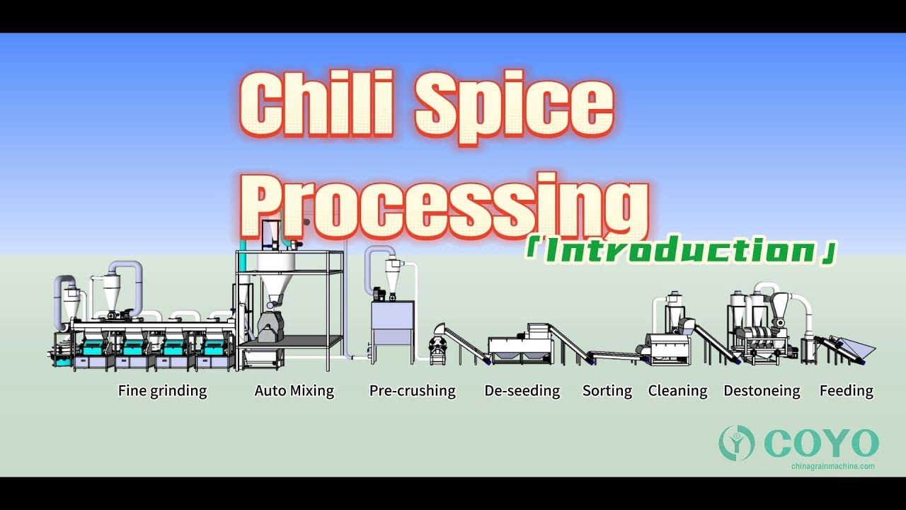Chili Spice Masala Processing Line