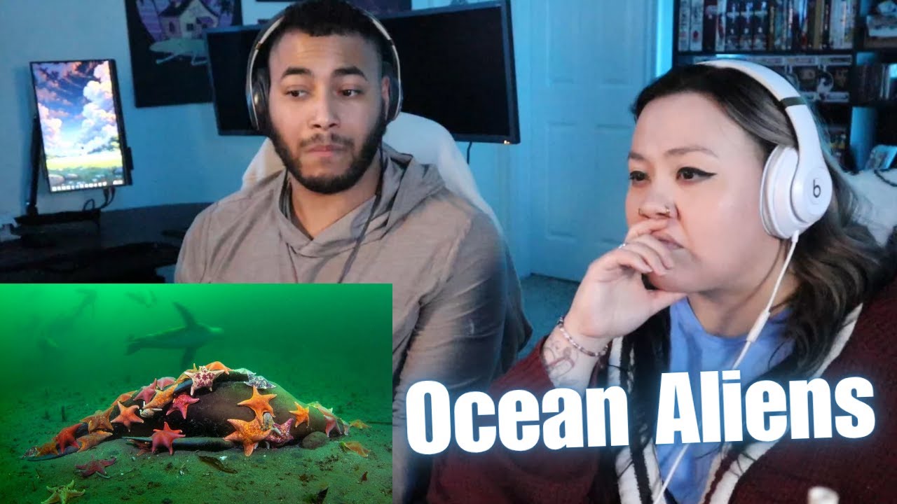 OtakuCouple отреагировала на ужасающую правду о пришельцах в океане (Casual Geographic)
